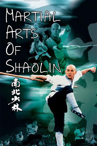 Shaolin Temple 3: Martial Arts of Shaolin poster