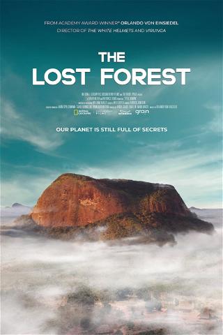 The Lost Forest poster