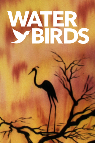 Aves acuáticas poster