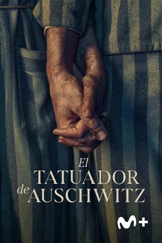 El tatuador de Auschwitz poster