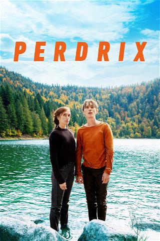 Perdrix poster