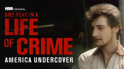 One Year in a Life of Crime poster