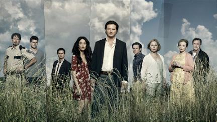 Rectify poster