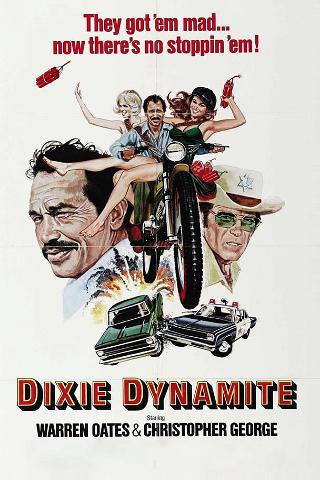 Dixie Dinamite & Patsy Tritolo poster