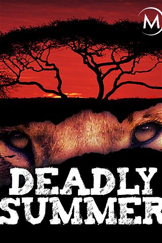 Deadly Summer poster