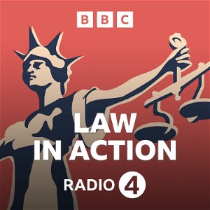 Law in Action poster