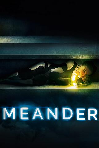 Meander - Survival Instinct poster