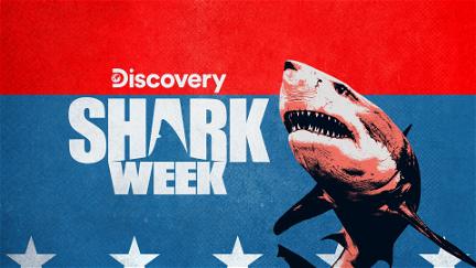 Shark Week poster