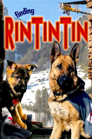 Rin Tin Tin - Ein Held auf Pfoten poster