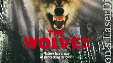Die Wölfe poster