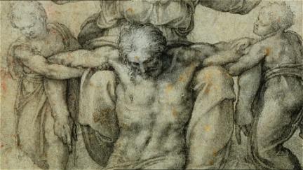 Michelangelo Revealed poster