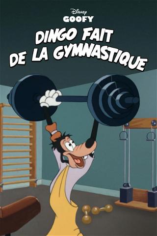Dingo Fait de la Gymnastique poster