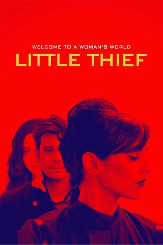 Little Thief poster