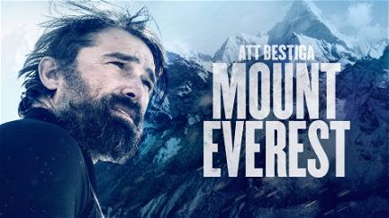 Att bestiga Mount Everest poster
