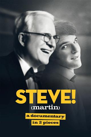 STEVE! (martin): dokument w 2 częściach poster