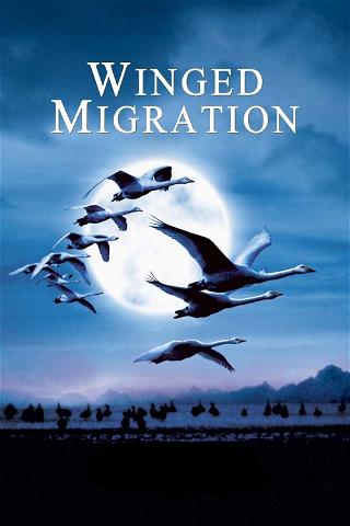 Migração Alada poster