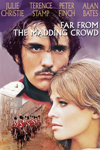Far from the Madding Crowd (1967) poster