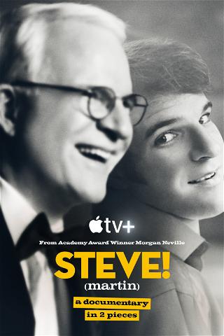 Steve! (Martin): A Documentary in 2 Pieces poster