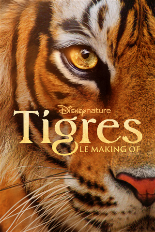 Tigres : le making of poster