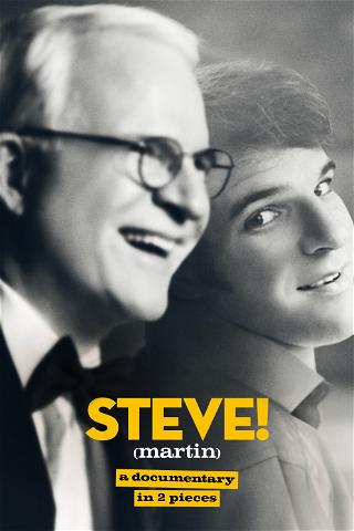 STEVE! (martin) a documentary in 2 pieces poster