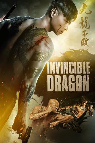 Invincible Dragon poster