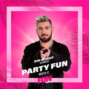 Party Fun poster