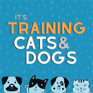 It's Training Cats and Dogs! poster