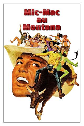 Micmac au Montana poster