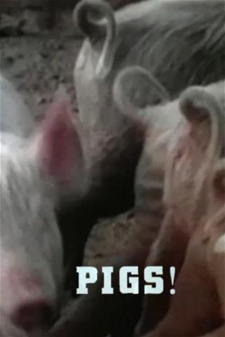 Pigs! poster