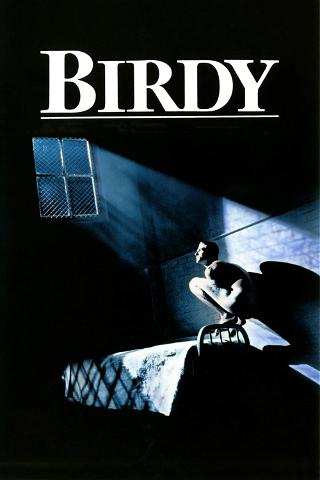 Ptasiek poster