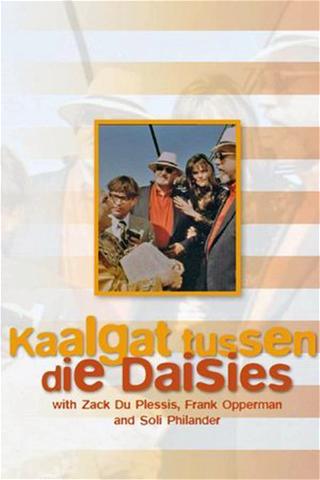 Kaalgat Tussen Die Daisies poster