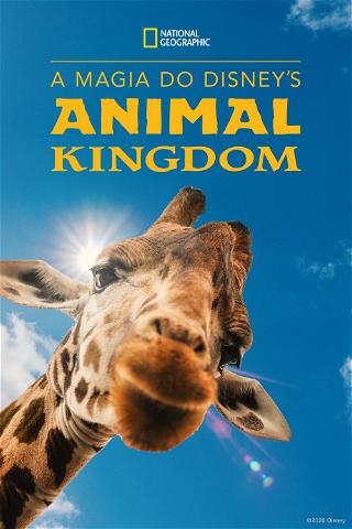 A Magia do Disney's Animal Kingdom poster
