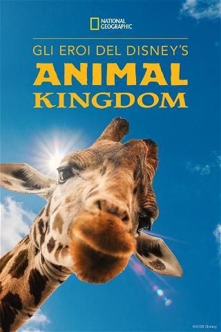 Gli eroi del Disney's Animal Kingdom poster