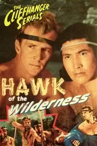Hawk of the Wilderness poster