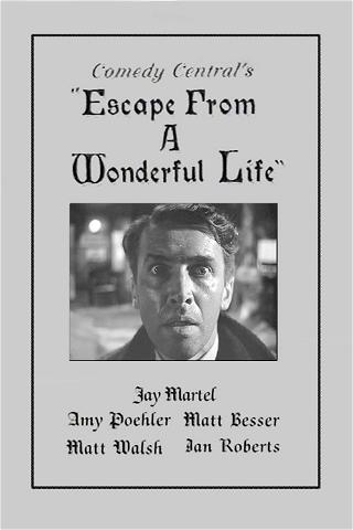 Escape From a Wonderful Life poster