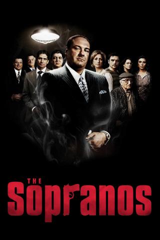 The Real Sopranos poster