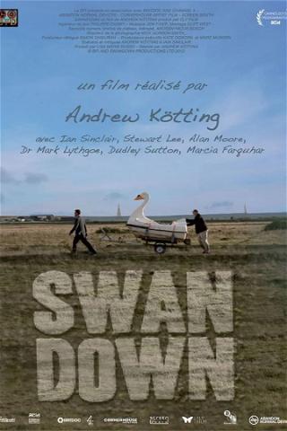 Swandown poster