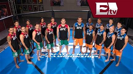 The Ultimate Fighter poster