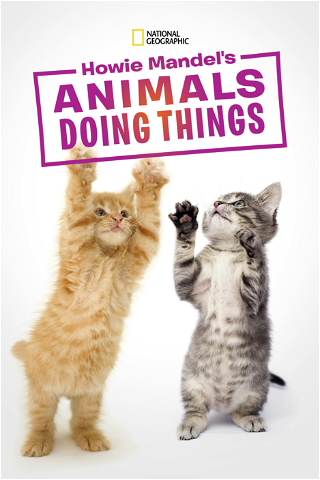 Howie Mandel's Animals Doing Things poster