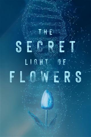 The Secret Light of Flowers poster