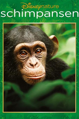 Disneynature Schimpansen poster