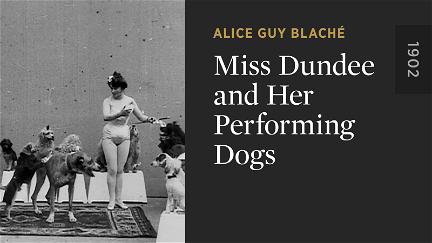 Miss Dundee and Her Performing Dogs poster