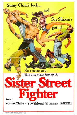Sister of the Street Fighter poster