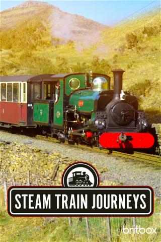 Steam Train Journeys poster