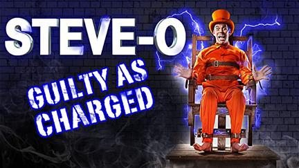 Steve-O: Guilty as Charged poster