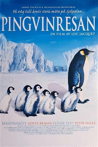 Pingvinresan poster