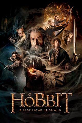 O Hobbit: A Desolação de Smaug poster