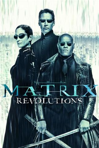 Matrix: Rewolucje poster