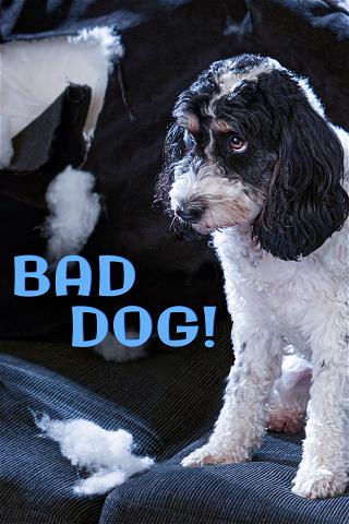Bad Dog poster