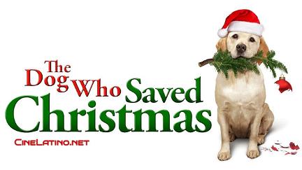 Ein Hund rettet den Weihnachtsurlaub poster